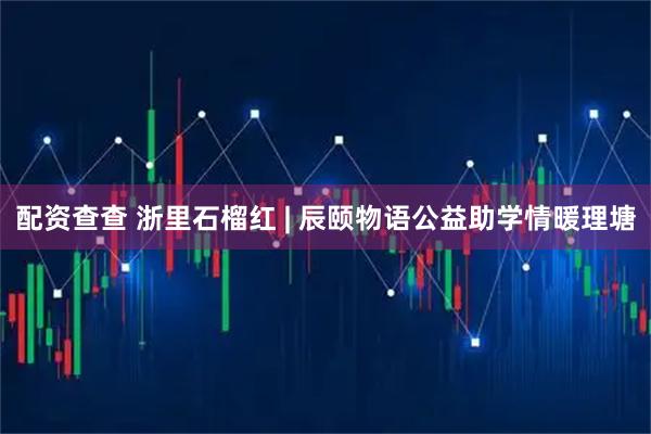 配资查查 浙里石榴红 | 辰颐物语公益助学情暖理塘